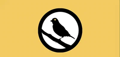 The Shouting Silence: What is a Warrant Canary and Why Its Disappearance Should Worry You