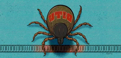 یوتیک (Utiq): 'سوپر کوکی' جدید شرکتهای مخابراتی که حریم خصوصی شما را تهدید میکند